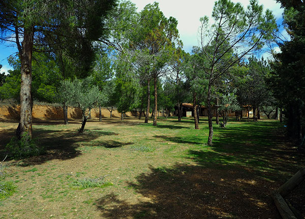 Zona de acampada del Monasterio El Olivar